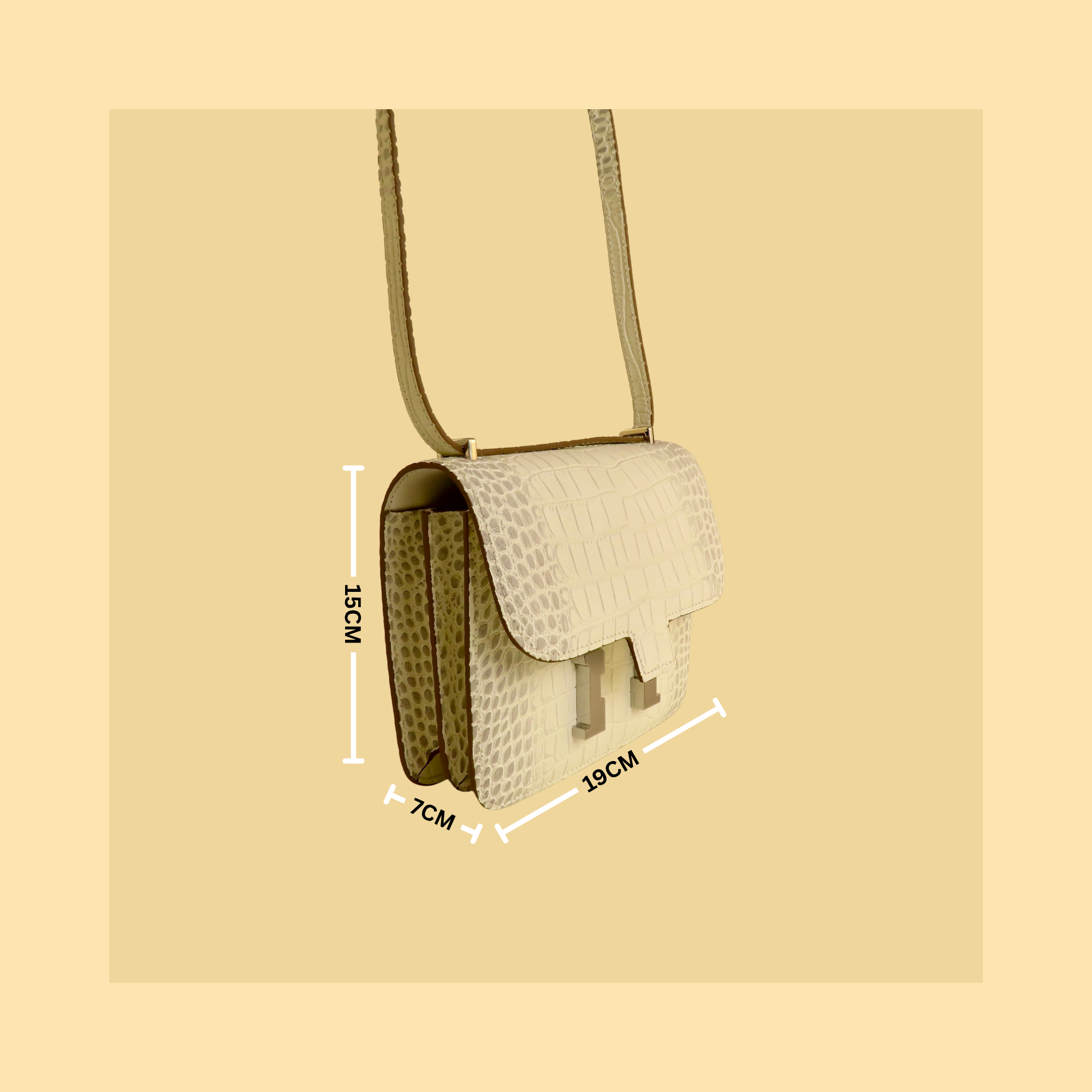 [CN-1] 19CM CONS INSPIRED CLASSIC REAL EPSOM COWHIDE LEATHER PALM PRINT/HIMALAYAN CROSSBODY HANDBAG